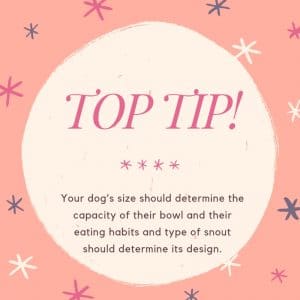 top tip slow feed dog bowl