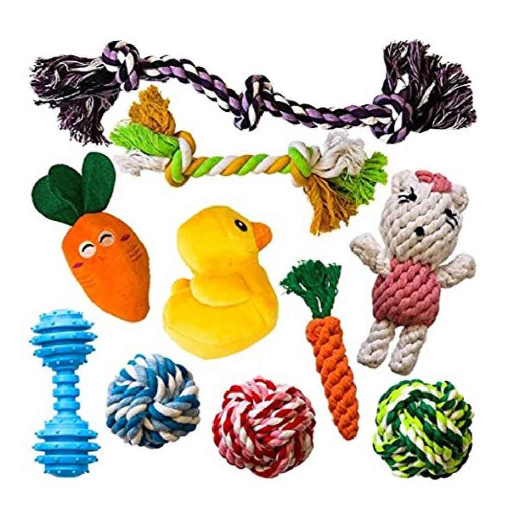 Best Chew Toys For Shih Tzu Puppies How To Choose The Right Toys