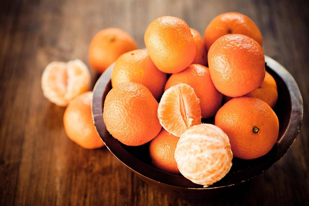 can shih tzu eat oranges