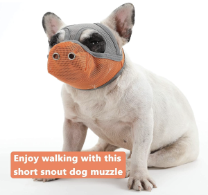 short snout muzzle